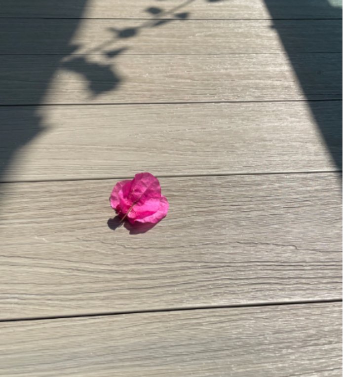 image2-zipdeck'