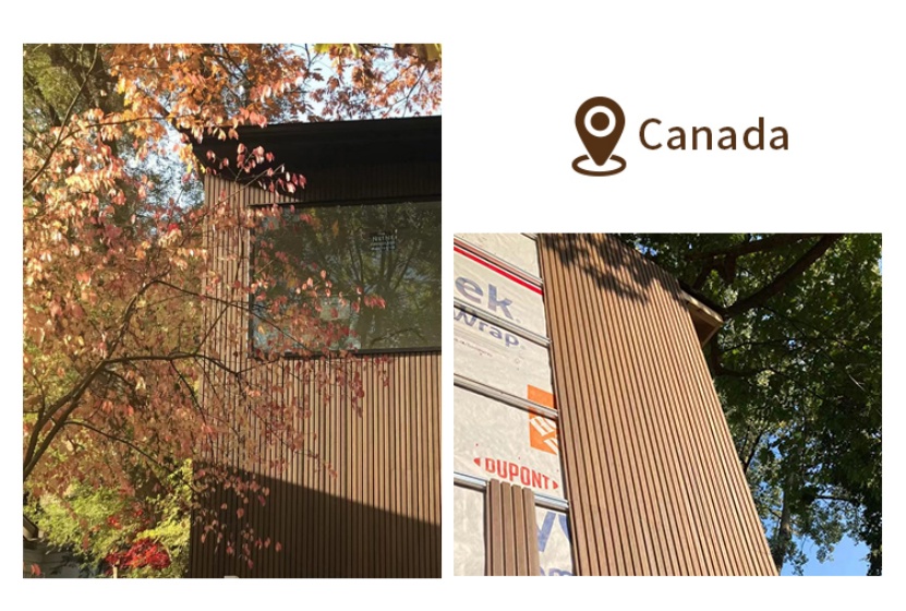Co-extrusion Great-Wall Cladding