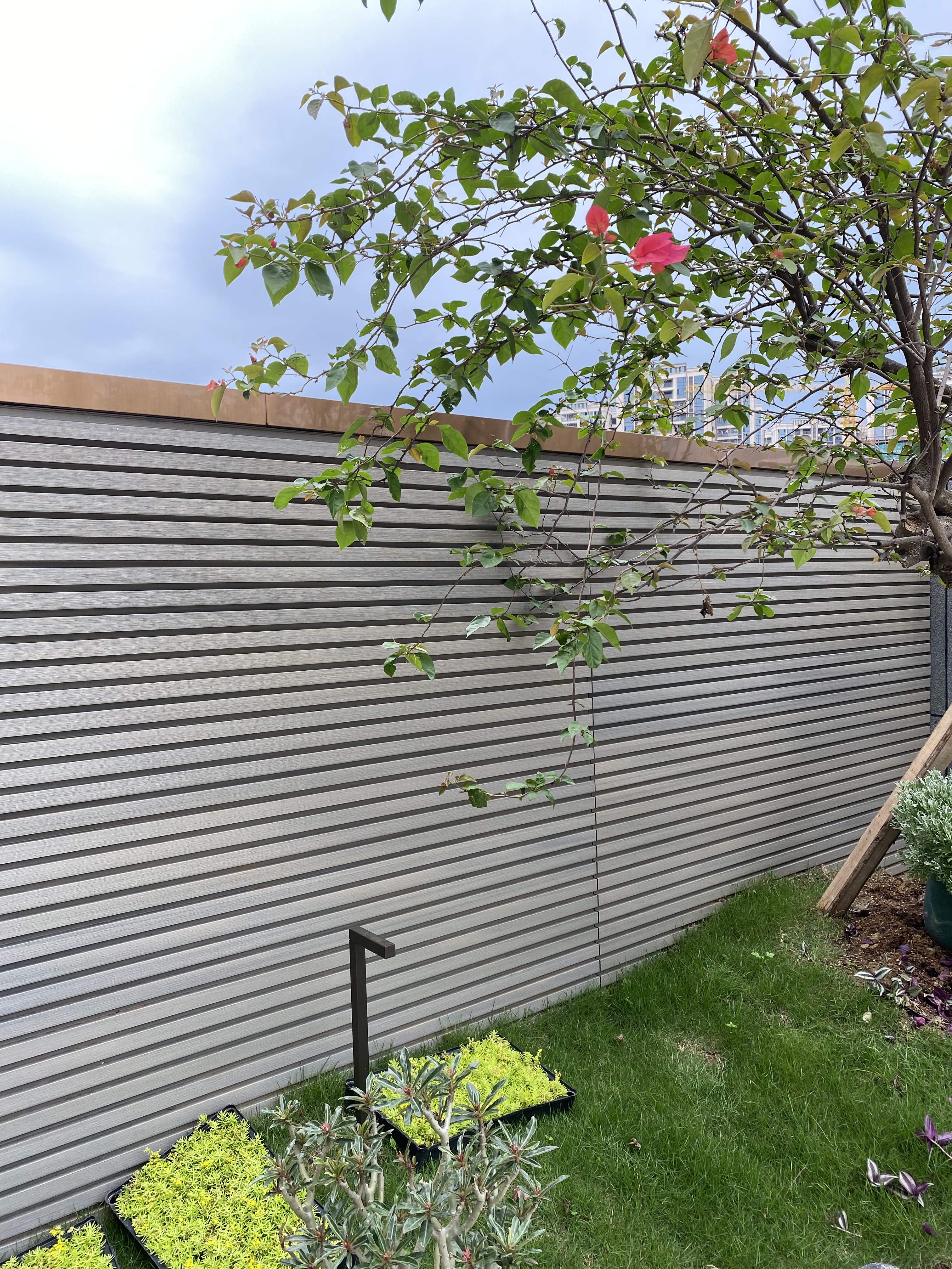 wall cladding